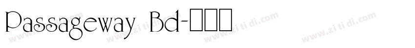 Passageway Bd字体转换